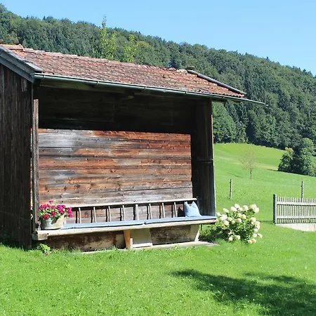 Gerstenbrand 3*